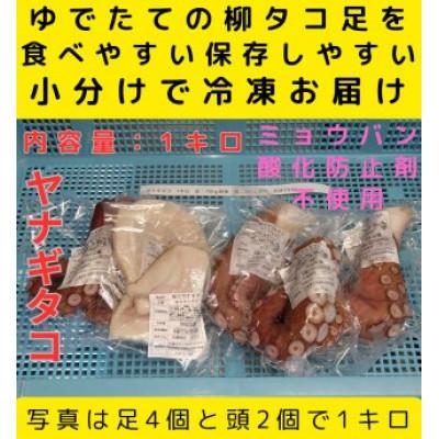 ふるさと納税 白老町 浜ゆでたこ 計1000g:1kg　北海道白老町産