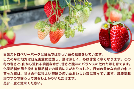 [先行予約] プレミアム『スカイベリー』＆『とちあいか』食べ比べセット 大粒のみ厳選 8粒から15粒詰 約420g×2箱 [2027年1月上旬より順次発送] [1029]