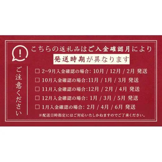 【 定期便 隔月 3回 】上州牛 切り落とし 1kg ( 500g × 2パック ) [AH029tu]