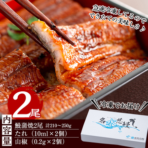 【10営業日以内に発送】鹿児島県産うなぎ蒲焼 名水慈鰻 2尾＜計210～250g以上＞ うなぎ 鰻 ウナギ 2尾 国産 蒲焼 かばやき 冷凍 真空 真空パック 無頭 うな重 ひつまぶし タレ 山椒 a
