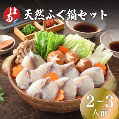 ふるさと納税 下関市 天然ふぐ鍋セット(2~3人前) 冷凍 海鮮鍋セット ID007-1