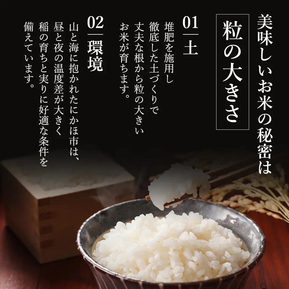先行予約【6回定期便 隔月お届け】あきたこまち 5kg 白米 令和8年産 あきたこまち