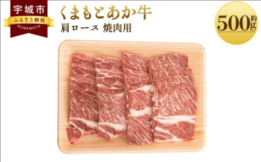 牛肉 和牛くまもと あか牛 肩ロース 焼肉用 約500g×1パック