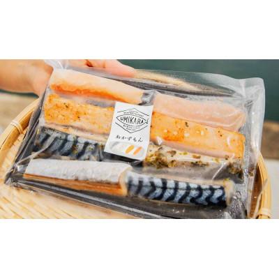 ふるさと納税 高浜町 地魚の漬け魚(おかずもん)と地魚すりみ(ととまる)のお団子セット |  | 02