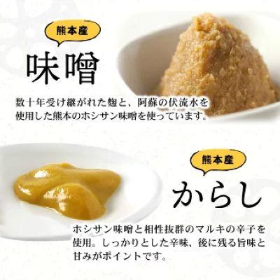 ふるさと納税 甲佐町 【3代続く伝統の味】ピリッとうまか!熊本からし蓮根(3本〜4本) |  | 02