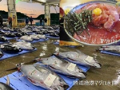 【那智勝浦町、白浜町、上富田町】JTBふるさと旅行券（紙券）900,000円分