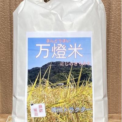 ふるさと納税 西尾市 令和6年産＜万燈米＞【にじのきらめき 3.5kg×2袋 】・I029-13-1 |  | 01