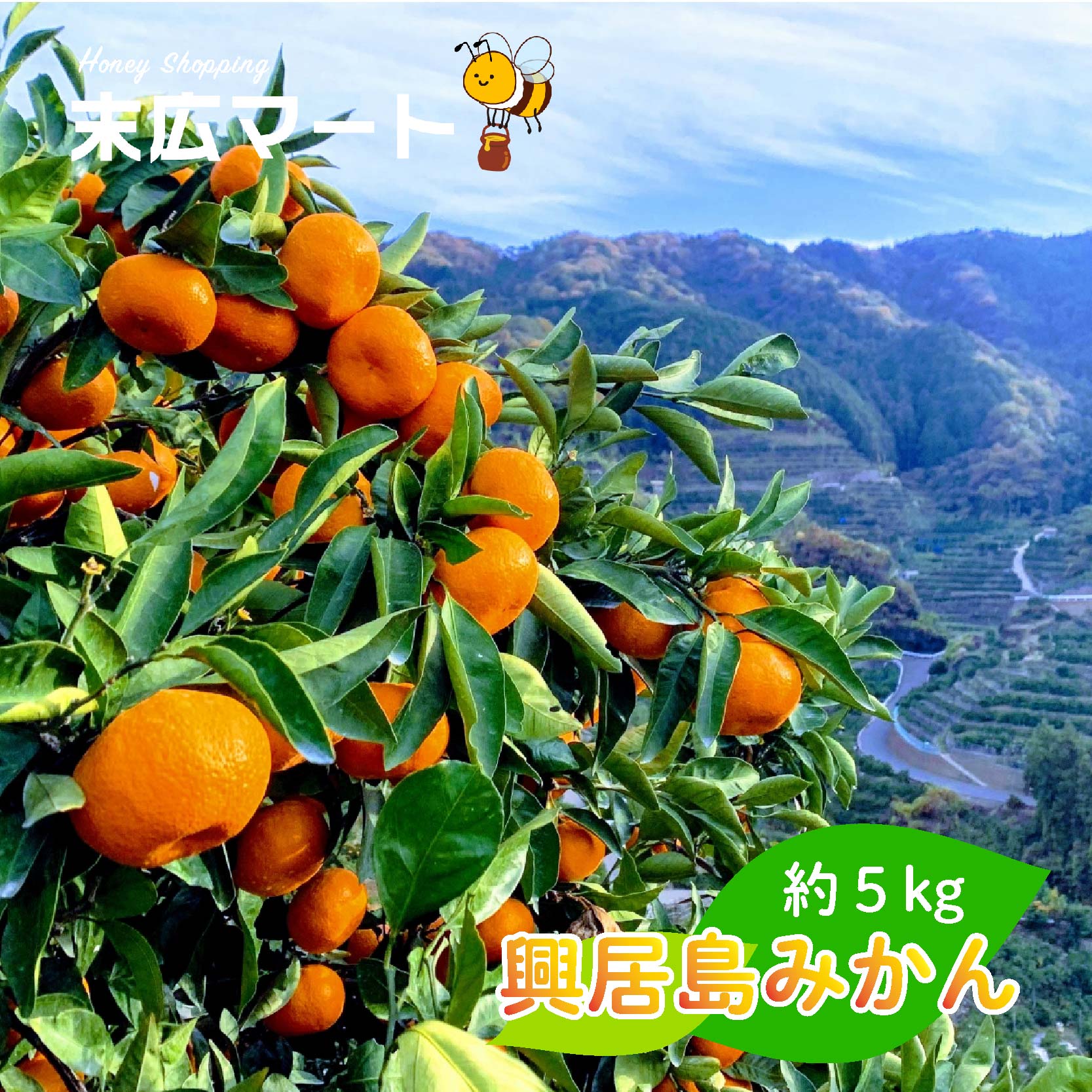 【ふるさと納税】 【2026年11月中旬ごろから順次発送】ごご島 みかん 約5kg | みかん ミカン 蜜柑 柑橘 青果 興居島みかん フルーツ 果物 愛媛県 松山市 送料無料