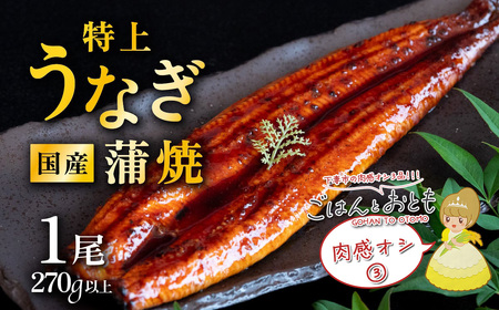 【 先行予約 】【 11月出荷分 】 ” ごはん と おとも ” 【 数量限定 】 令和7年産 新米 茨城県産 ミルキークイーン 12kg ( 5kg × 2袋 + 2kg × 1袋 ) ＋ 「福よ来