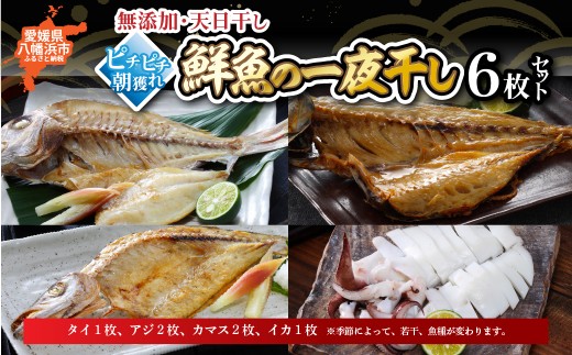 無添加・天日干し　ピチピチ朝獲れ鮮魚の天日干し　6枚＜C26-7＞【1044327】 YWTAK006