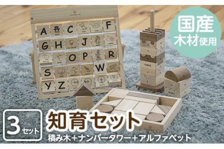 a546 姶良市産木材使用！IKONIH知育セット！ひのきが香る木製のブロック・数字ブロックのナンバータワー・遊びながら覚えられるアルファベットカードのアイコニーおもちゃセット【IKONIH FUKUOKA】