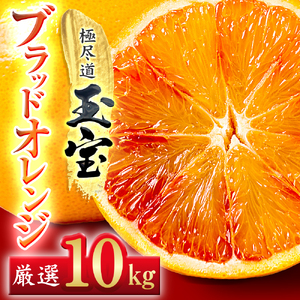 【愛媛名産】玉宝ブラッドオレンジ(タロッコ)　10kg【H64-67】【1621809】 YWTY056