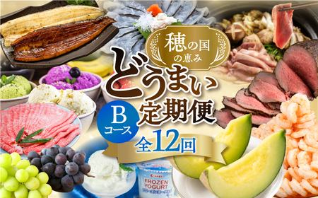 【海鮮コース】穂の国の恵み どうまい 定期便 全12回 海鮮コース /  定期便 定期便 定期便 定期便 定期便