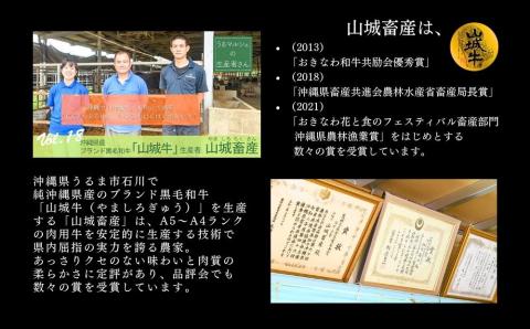 【入手困難】【幻の黒毛和牛】『山城牛』【雌牛限定】肩ロース　ステーキカット250g　精肉　発送前にカット　急速冷凍　高級　牛肉　黒毛和牛　霜降り　雌牛　柔らか　ステーキ　BBQ