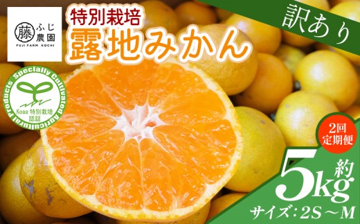 
                  【2回定期便】ふじ農園の露地みかん 訳あり品 5kg(2S～M)  国産 小玉 蜜柑 ミカン 柑橘 果物 フルーツ 訳アリ ご家庭用 自宅用 ふじ農園 高知県 香南市 Wfn-0021
                