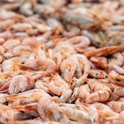 ふるさと納税 赤穂市 兵庫県産　干えび(殻付)80g×3袋 |  | 02