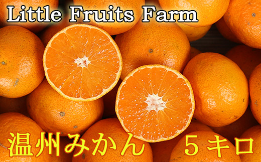 
                  【訳あり品】リトルフルーツファームの温州みかん 約5kg ／ ミカン みかん 蜜柑 柑橘類 訳あり 先行予約 5kg 温州みかん フルーツ 果物 ＜116-022＞
                