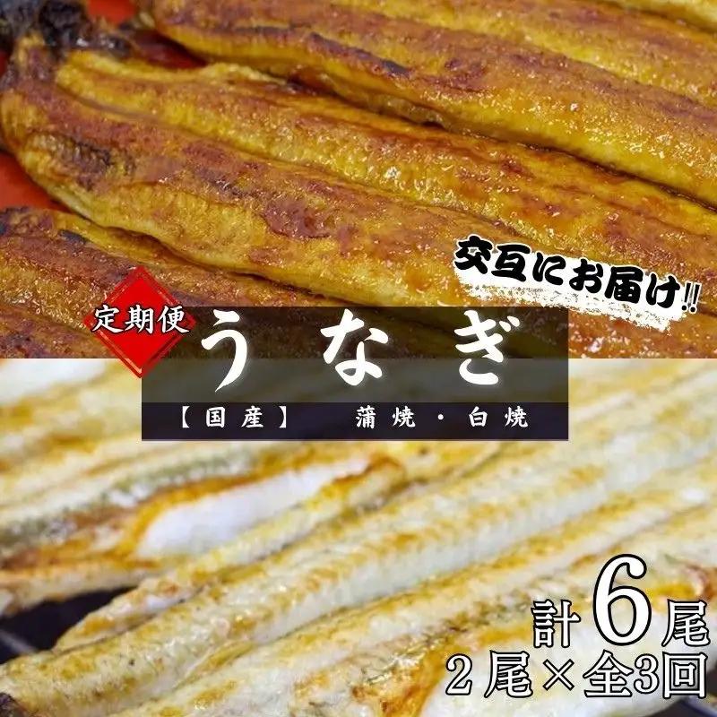 【3カ月定期便】【交互にお届け】国産うなぎ蒲焼 (2本) タレ付×2回　国産うなぎ白焼 (2本) 醤油・わさび付き×1回 / 定期便 毎月お届け 和歌山 田辺市 国産 国産うなぎ 国産鰻 うなぎ 鰻 鰻丼 うな丼 土用の丑の日【ots030-tk】 