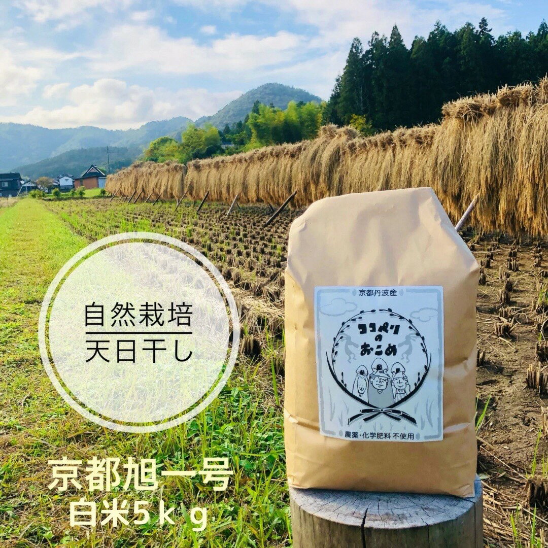 【ふるさと納税】こだわりすぎたお米！自然栽培・天日干しの京都旭一号 白米5kg 栽培期間中農薬不使用米 無肥料米 栽培期間中化学使用不使用 希少品種 京都丹波地域 南丹市産 うるち米 白米 米 お米　お届け：2024年11月1日～2025年5月31日