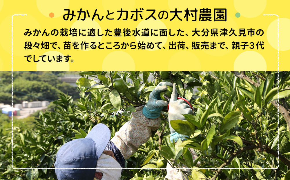 大村農園の極早生みかん おおいた早生 5kg | ミカン オレンジ 果物 大分県 九州 津久見市 国産