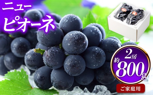 
                  ぶどう 2026年 ご家庭用 ニュー ピオーネ 約400g×2房 ブドウ 葡萄  岡山県産 国産 フルーツ 果物
                