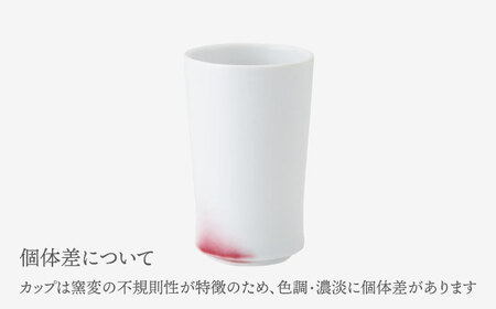 【波佐見焼】【essence】カップ 2点セット agasuke 窯変 【西海陶器】[OA307]