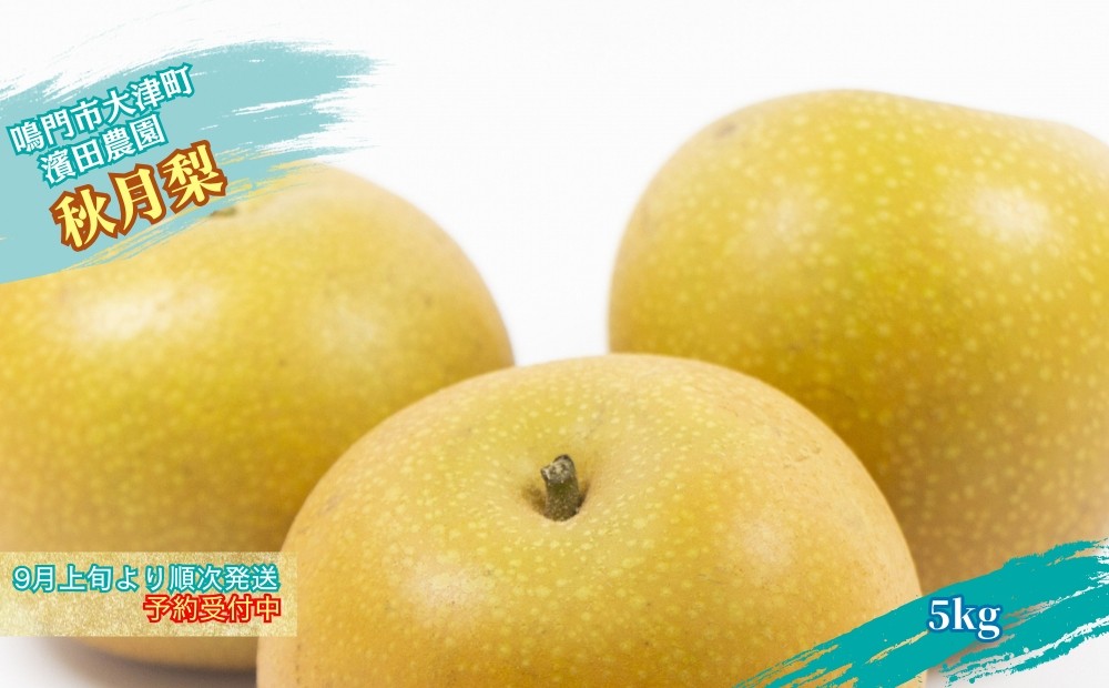 
            【予約受付中】濱田農園 秋月梨 約5kg 【数量限定】【9月上旬より順次発送】 フルーツ 果物 梨 ナシ 完熟梨 季節の梨 旬の梨 秋の梨 鳴門の梨 完熟果物 季節の果物 旬の果物 秋の果物 鳴門の果物 完熟フルーツ 季節のフルーツ 旬のフルーツ 秋のフルーツ 鳴門のフルーツ 濱田農園の果物 濱田農園のフルーツ
          