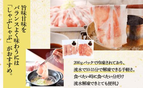 アップルポークのしゃぶしゃぶセット（4人前・豚肉800g）【02402-0256】