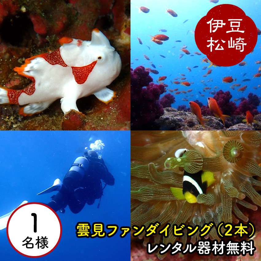 
【西伊豆雲見2本ファンダイビング】レンタル器材無料（ドライスーツ除）
