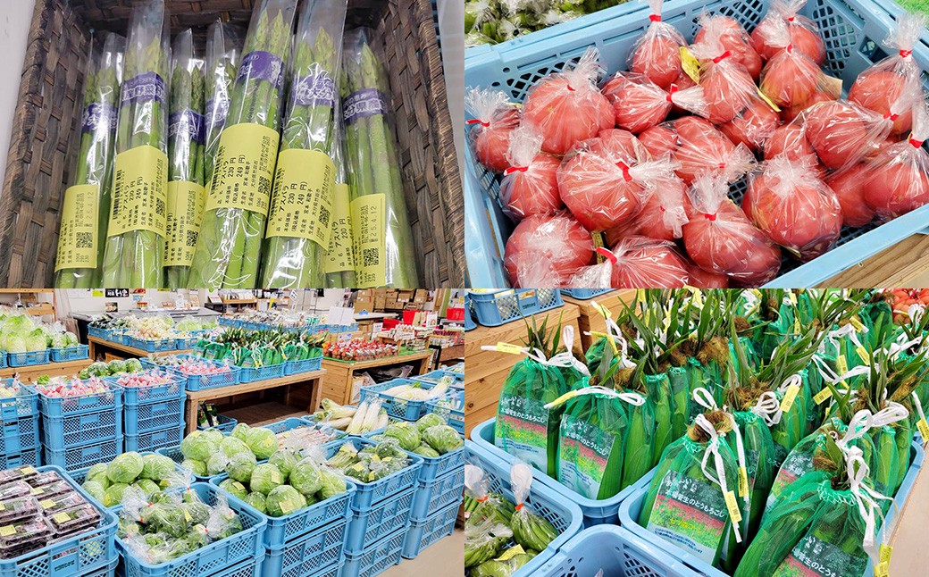 その時期の一番美味しいをお届け！ 竹田育ちの 「野菜詰め合わせセット」 B