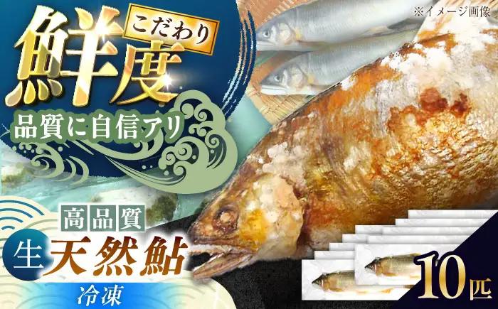 【スピード配送】天然あゆ 18-20cm 10匹 / 恵那市 / 恵那物産館 [AUFS008] あゆ