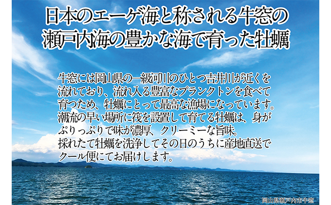 先行予約 2025年2月以降順次発送 剥き牡蠣 400g×2袋 エビス水産 洗浄済 瀬戸内 牛窓産 岡山県 ※加熱調理用