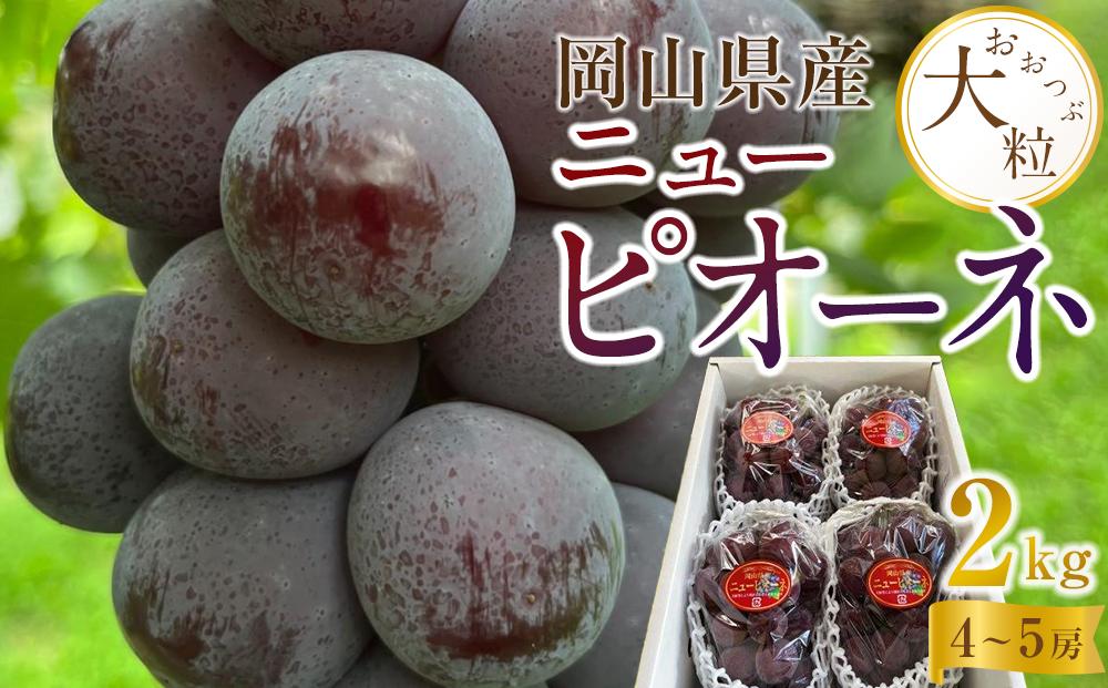 ぶどう 2026年  岡山県産  大粒 ニューピオーネ 2kg（4房～5房）農園直送 朝採れ