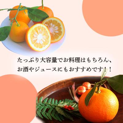 ふるさと納税 高原町 さっぱり爽やか ほどよくビター「だいだい(橙)」の手搾り果汁1L(業務用) TF819 |  | 03