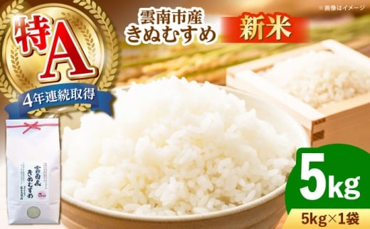 お米【新米】雲南市産きぬむすめ 5kg ｜米 こめ おこめ はくまい 白米 ライス 精米 コメ 特A 5キロ 使いやすい ごはん ご飯 おにぎり お弁当 朝ごはん 便利 朝食 食卓 主食 グルメ おいしい つや あっさり 飽きない もっちり 食感 上品 国産 新生活 一人暮らし 家族 ご当地 ごはんソムリエ おうちごはん おすすめ 人気 島根県雲南市/有限会社藤本米穀店 [AIDB099]