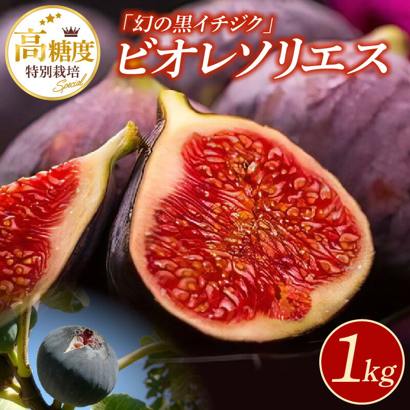 【ふるさと納税】特別栽培 ビオレソリエス 黒イチジク 計1kg イチジク 250g × 4パック 幻の黒イチジク 高糖度 ポリフェノール 国内栽培 希少 久留米市内で生産 福岡県 久留米市 お取り寄せ お取り寄せフルーツ 果物 フルーツ 冷蔵 お菓子作り 血流改善 健康 美容 送料無料