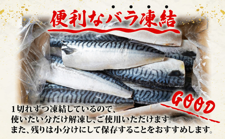 訳あり 塩さば フィレ 約3kg 期間限定 増量 中 鯖鯖鯖鯖鯖