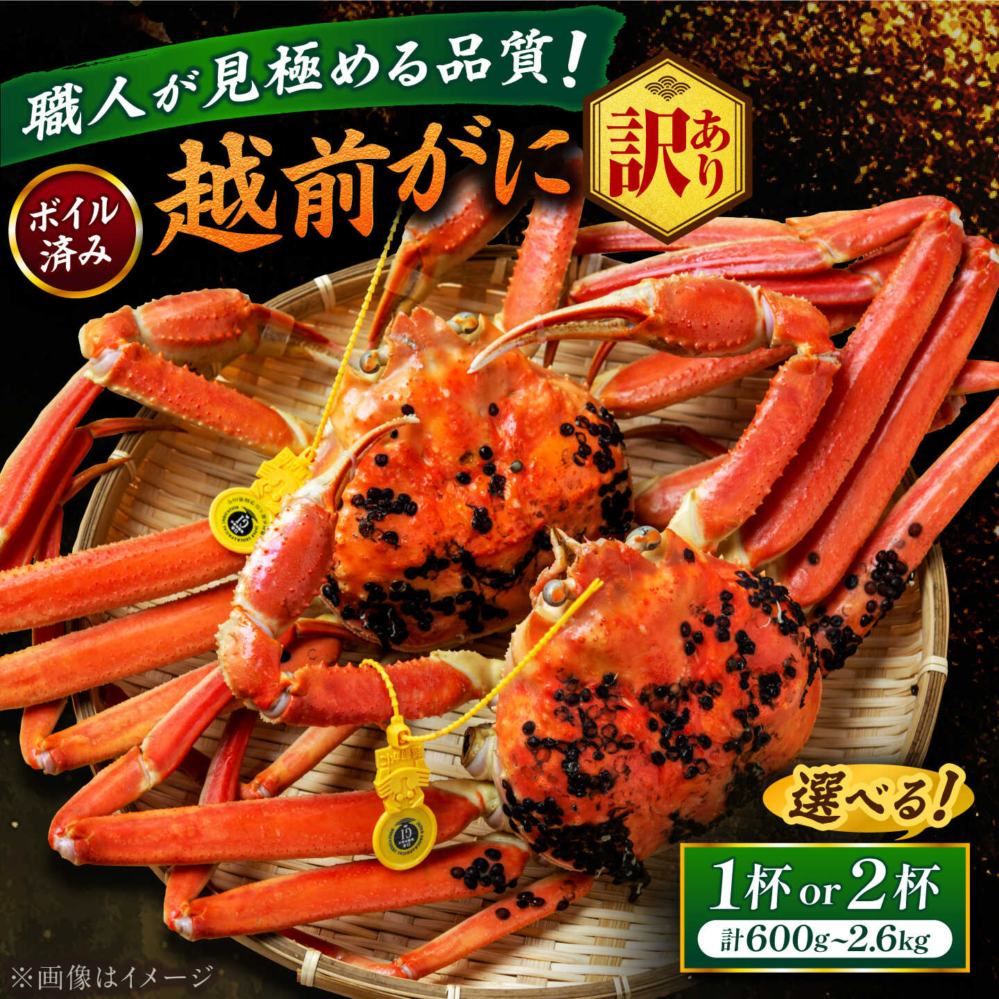【ふるさと納税】【訳あり】【選べる容量・配送月】【先行予約/11月18日より順次配送】越前がに 茹で 福井県産ズワイガニ 脚折れ・欠け / かに カニ 蟹 越前ガニ ズワイガニ ボイル / 小浜市 / 一進わかさ【配送不可地域：北海道・沖縄・離島】【冷蔵】[BFES017-032]
