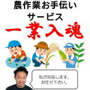 【ふるさと納税】岩手県宮古市　農作業お手伝いサービス【1回(1日):7時間以内】【1361022】