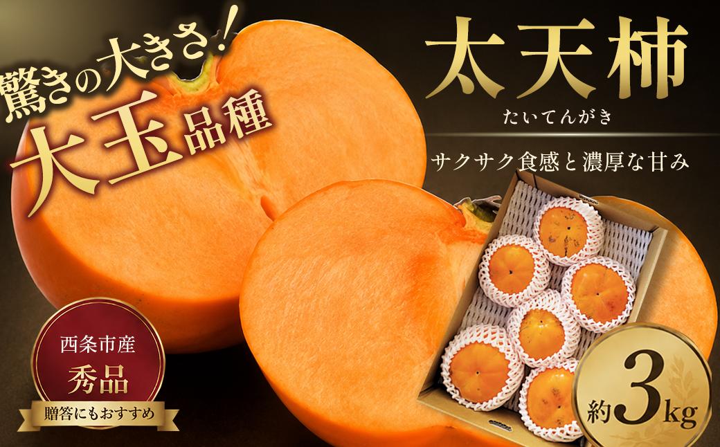 
                  【先行予約】太天柿 （秀品）約３kg　愛媛県西条市　（JA東予園芸）　【11月発送】｜ 柿 くだもの 果物 かき カキ たいてん 渋抜き 大玉 フルーツ 愛媛県 西条市 送料無料 【オンライン決済限定】
                