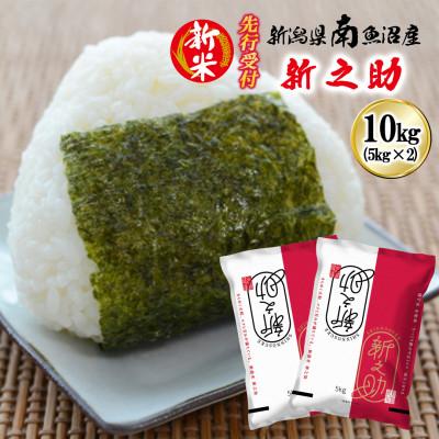 ふるさと納税 南魚沼市 【先行受付】南魚沼産新之助 精米 10kg[2026年11月上旬発送開始予定]