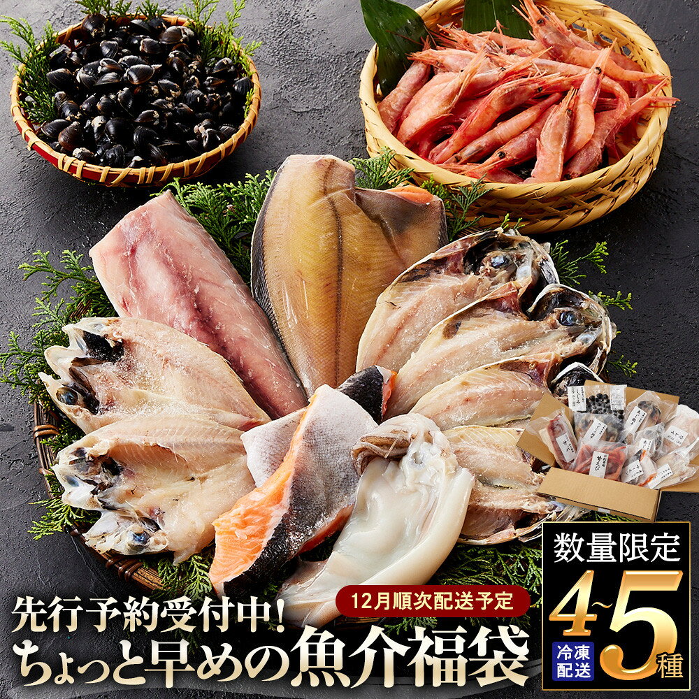 【ふるさと納税】＜先行予約受付中！数量限定！12月順次配送予定＞ちょっと早めの魚介福袋(4～5種類)