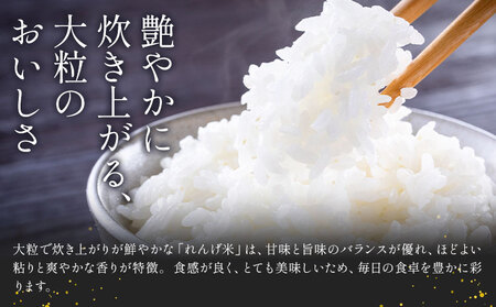 令和7年産れんげ米10kg《30日以内に出荷予定(土日祝除く)》茨城県結城市こめ