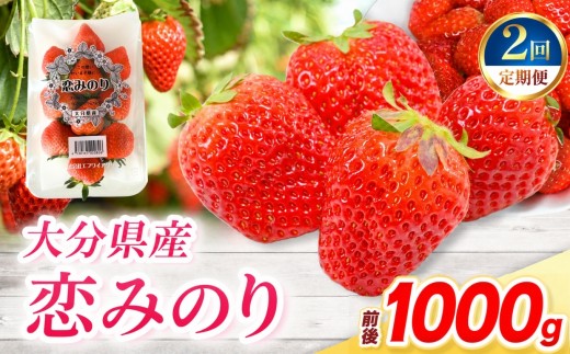 【定期便2回】恋みのり × 4パック ( 約1000g ) ( 1パック/250g前後 ) | 苺 イチゴ いちご ベリー フルーツ 果物 くだもの 大分県産 産地直送 定期 定期便 大分県 中津市