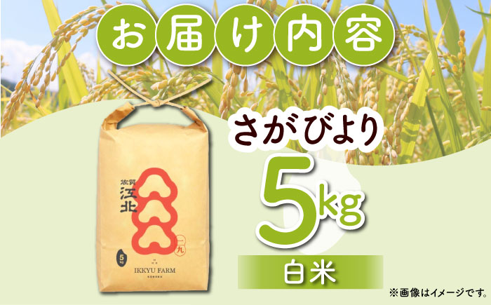 【ご飯でご飯が食べられる！】さがびより 白米 5kg（一等米）【一九FARM】 [HDC001]