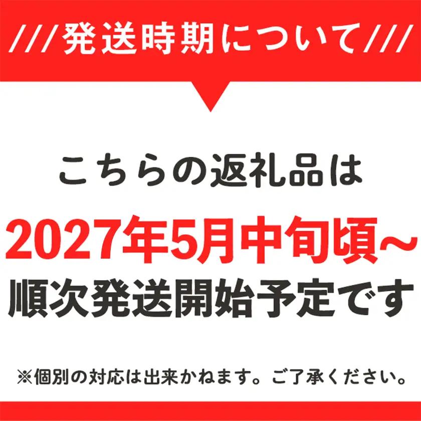 メロン 茨城県産 タカミレッドメロン 秀品 1個