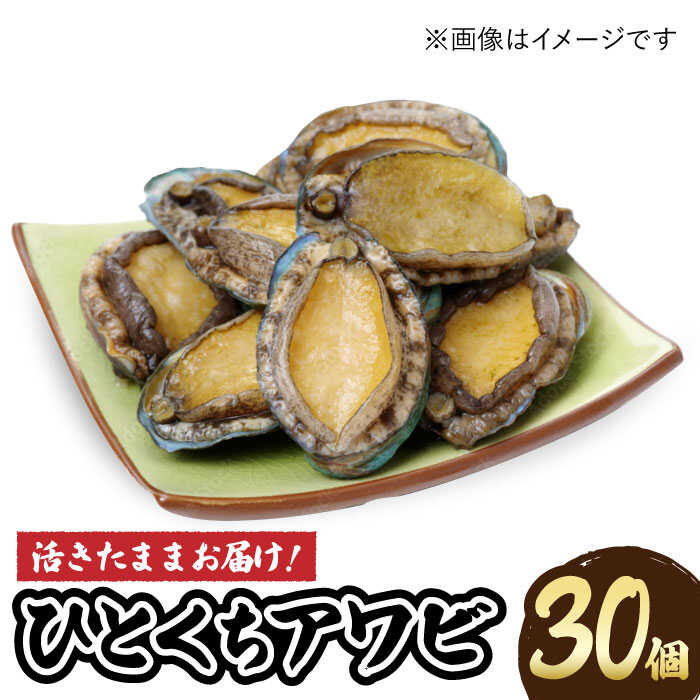 【ふるさと納税】【小ぶりで料理に使いやすい！】 上五島産 養殖 ひとくち アワビ 厳選 30個【豊建設株式会社】 [RAE002]