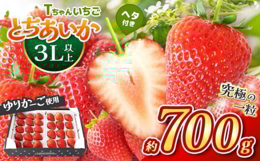 【先行予約】とちあいか３L以上ホール詰め  700g