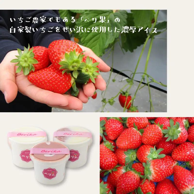 アイスクリーム 3種セットアイス