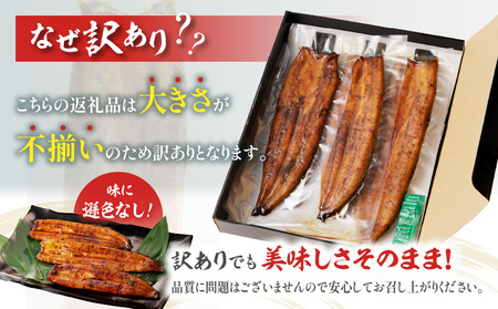 うなぎ 蒲焼 うなぎ[国産 訳あり 4尾 高須水産 備長炭手焼き 820g]